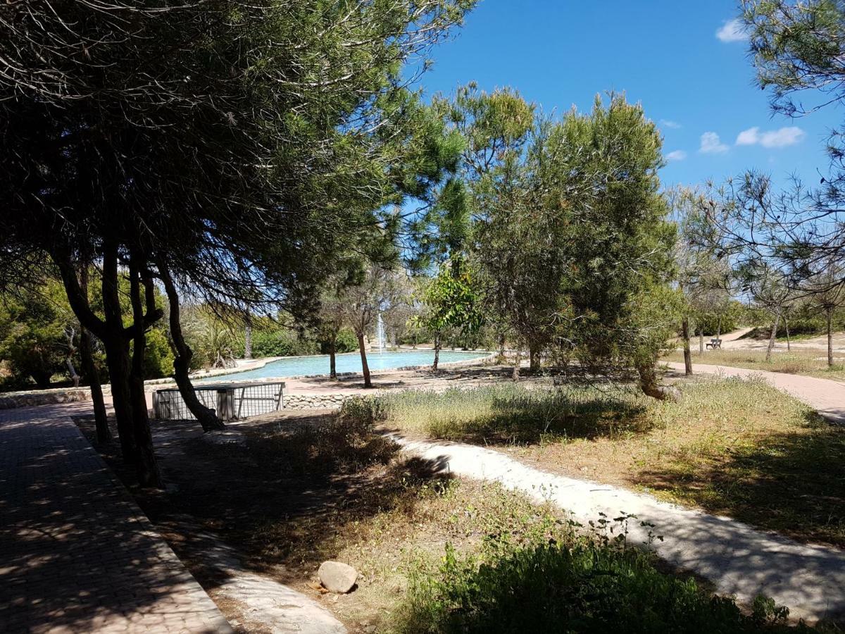 Los Europeos Daire La Mata  Dış mekan fotoğraf